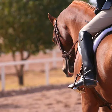 戴安娜住宿酒店